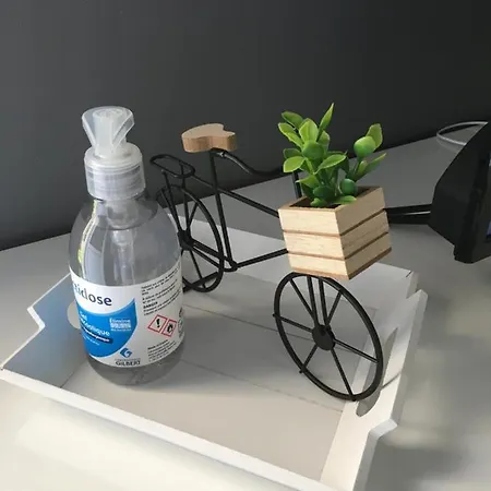 Apartament La Casa Des Petites Maries Terrasse Clim Wifi